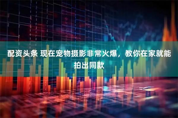 配资头条 现在宠物摄影非常火爆，教你在家就能拍出同款