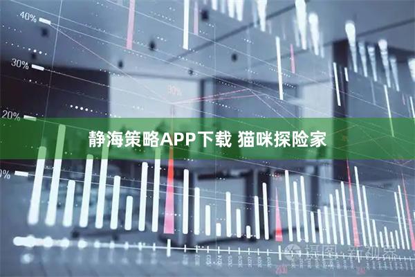 静海策略APP下载 猫咪探险家