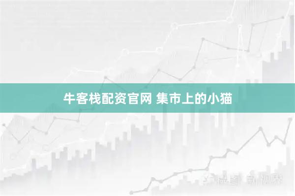 牛客栈配资官网 集市上的小猫