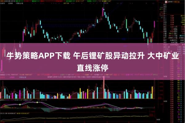 牛势策略APP下载 午后锂矿股异动拉升 大中矿业直线涨停